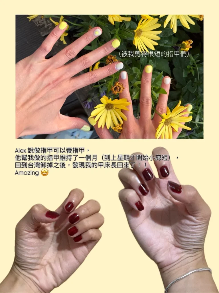 週記內容